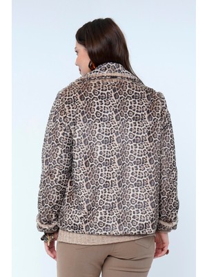 Lema  Leopar Mont (26013)