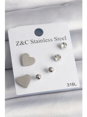316L Çelik Gümüş Renk Zirkon Taşlı Kalpli Kadın Küpe Seti