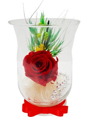 Çiçek Seli Kadeh Cam Vazoda Kırmızı Solmayan Gül (XL) & Sevgiliye, Anneye Özel Hediye Aşk Home 15 cm