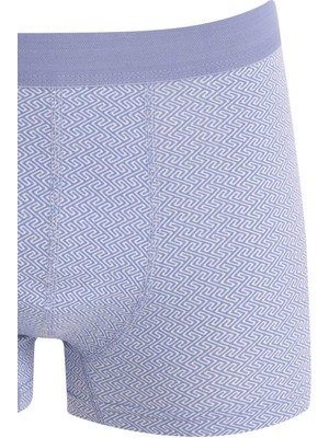 DeFacto Regular Fit 3'lü Boxer D2316AX24AU