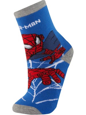 DeFacto Erkek Çocuk Marvel Spiderman 2'li Pamuklu Kışlık Çorap A6340A8NS