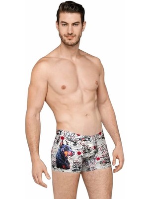 Timion Doreanse Erkek Baskılı Boxer 1808