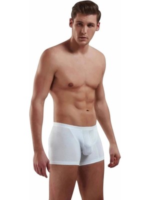 Timion Adonis Boxer 1770