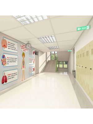 Iç Organlarımız Okul Duvar Kağıdı Baskı