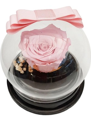 Çiçek Seli Pleksi Kutuda Pembe Solmayan Gül & Fanusta Solmayan Gül & Özel Tasarım Dekoratif Cicek