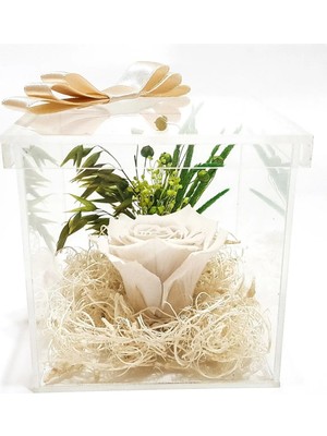 Çiçek Seli Pleksi Kapaklı Kutuda Beyaz Solmayan Gül (Xl) & Ev Hediyesi & Ekvator Gülü