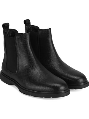 Lionne Siyah Erkek Bot