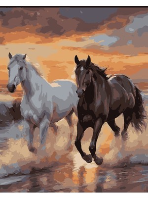 Lamba Cini Sayılarla Boyama Kasnaklı Tablo Seti Atlar 40x50 cm Fırça ve Boya ile Eğlenceli Sanat