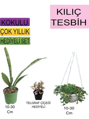 3'lü Set Tek Dikim Kılıç+Askılı Saksılı Tesbih+Hediyelik Telgraf Çiçeği