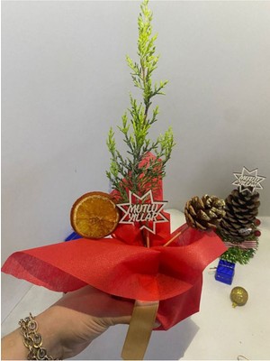 Mini Boy Yılbaşı Ağacı Süslemeli Portakal+Kozalak DAHILDIR15-30 cm