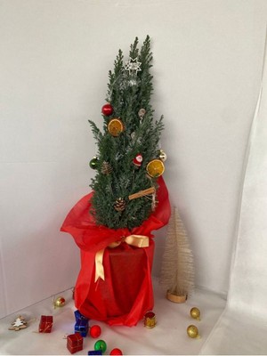Hediyelik Elwoodi Yılbaşı Ağacı Süslemeli 40-70 cm Kozalak+Portakallar Dahil