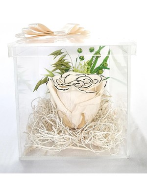 Çiçek Seli Pleksi Kapaklı Kutuda Lace Beyaz Solmayan Gül (Xl) & Ev Aksesuar Anneye Hediye & Ekvator Gülü