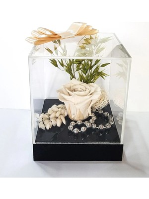 Çiçek Seli Tasarım Pleksi Kutuda Beyaz Solmayan Gül (Xl) & Sevgiliye Anneye Dekor Hediye & Ekvator Gülü