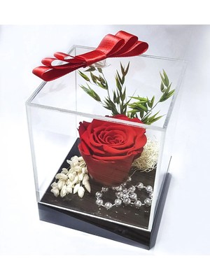Çiçek Seli Tasarım Pleksi Kutuda Kırmızı Solmayan Gül (Xl) & Sevgiliye, Anneye Özel Hediye & Yapay Çiçek