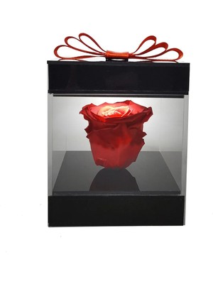 Çiçek Seli LED Işıklı Pleksi Kutuda Kırmızı Solmayan Gül (Xl) & Isikli Cicek Sevgiliye Anneye Özel Hediye Obje