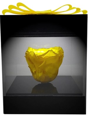 Çiçek Seli LED Işıklı Pleksi Kutuda Sarı Solmayan Gül (Xl) & Sevgiliye, Anneye Özel Hediye & Ekvator Gülü