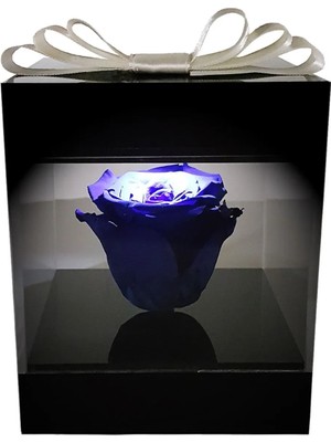 Çiçek Seli LED Işıklı Pleksi Kutuda Mavi Solmayan Gül (Xl) & Sevgiliye, Anneye Özel Hediye & Ev Hediyesi