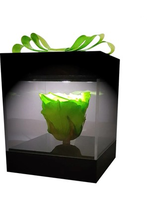 Çiçek Seli LED Işıklı Pleksi Kutuda Yeşil Solmayan Gül (Xl) & Isikli Cicek Sevgiliye Özel Hediye & Ekvator Gülü