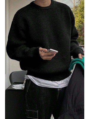 Tarz Cool Erkek Siyah Regular Fit Bisiklet Yaka Örgülü Triko