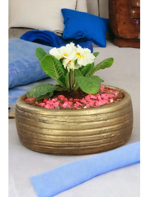 El Yapımı Saksı Beyaz Dekoratif Saksı Küçük Boy Model 4