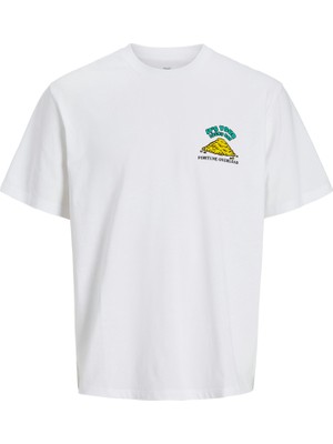 Jack & Jones Jack Jones Jorbıgwıg Tee Ss Crew Neck Tg Erkek Beyaz1 Tshirt 12275396-99