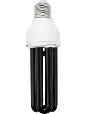 E27 40W Uv Ultraviyole Floresan Siyah Işık Cfl Ampul Lamba 220V Şekil: Düz Watt Voltaj: 40W Dc 12V (Yurt Dışından)