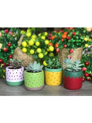 Perazayn 4'lü Sukulent ve Kaktüs Saksı Seti Tutti Frutti Meyveler