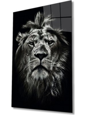 Aslan Hayvan Portresi Cam Tablo, Ev ve Ofis Duvar Dekoru,  Büyük Temperli 4 mm Cam Tablo