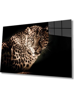 Leopar Hayvan Portresi Cam Tablo, Ev ve Ofis Duvar Dekoru,