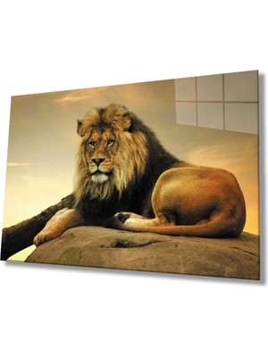 Marsilyan Aslan Hayvan Cam Tablo 4mm Dayanıklı Temperli Cam