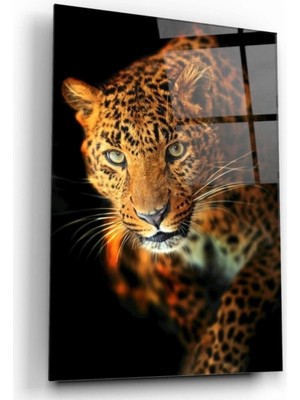 Leopar Cam Tablo