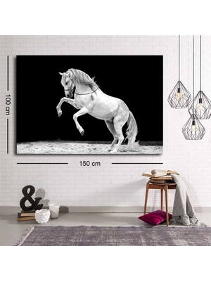 Marsilyan dekoratif beyaz şahlanmış at kanvas tablo