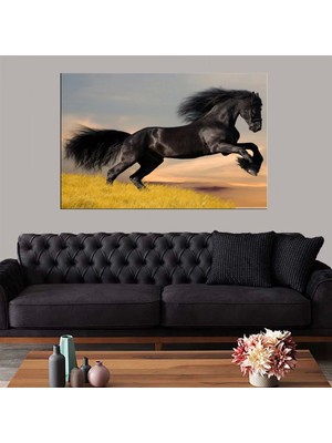 Dekoratif Baskı Vahşi At Kanvas Tablo