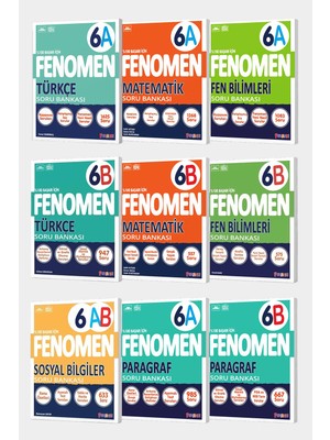 Fenomen Yayınları 6. Sınıf 9'lu A-B Full Set