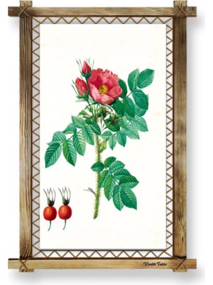 Marsilyan Çiçek Modern Kanvas Rustik Tablo