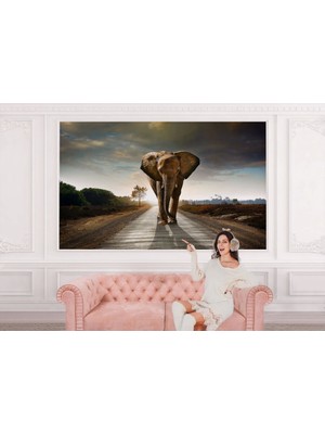 Yürüyen Fil Duvar Kağıdı - POSTERI-3959