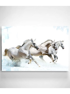 Beyaz Atlar Cam Tablo