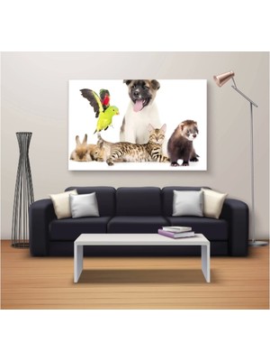 Marsilyan Dekoratif Baskı Özel Tasarım Dikdödrtgen Kanvas Tablo 328