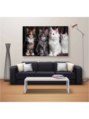 Marsilyan Dekoratif Baskı Özel Tasarım Dikdödrtgen Kanvas Tablo 384