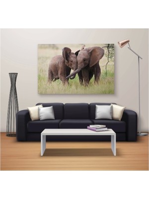 Marsilyan Marsilyan- Dekoratif Baskı Özel Tasarım Dikdödrtgen Kanvas Tablo 383