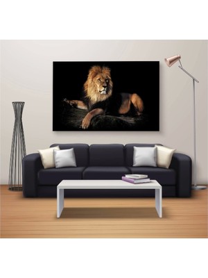 Marsilyan Dekoratif Baskı Özel Tasarım Dikdödrtgen Kanvas Tablo 664