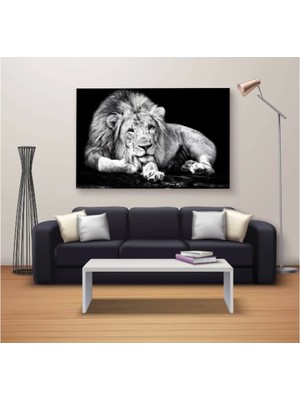 Marsilyan Dekoratif Baskı Özel Tasarım Dikdödrtgen Kanvas Tablo 690