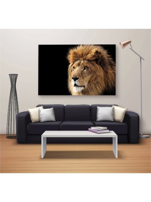 Marsilyan Marsilyan- Dekoratif Baskı Özel Tasarım Dikdödrtgen Kanvas Tablo 684