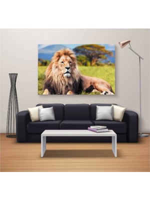 Marsilyan Marsilyan- Dekoratif Baskı Özel Tasarım Dikdödrtgen Kanvas Tablo 685