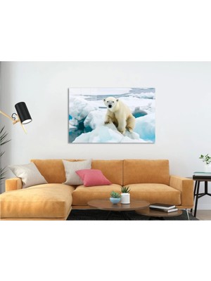 Buzulların Bekçisi Cam Tablo Hediyelik Büyük Tablo Ev Ofis Dekoru
