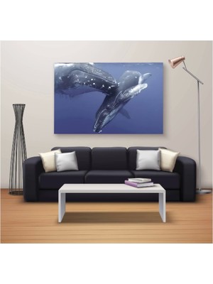 Marsilyan Dekoratif Baskı Özel Tasarım Dikdödrtgen Kanvas Tablo 1009