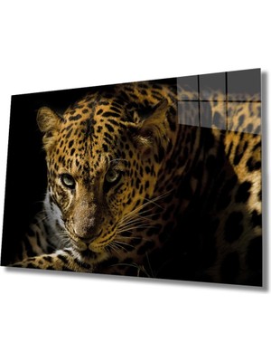 Leopar Hayvan Cam Tablo