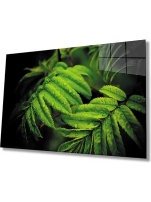 Su Damlası Yeşil Yapraklar Cam Tablo, Ev ve Ofis Duvar Dekoru Hediyelik Büyük Tablo Dayanıklı Cam