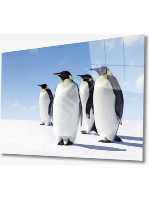 Penguen Hayvan Cam Tablo 4mm Dayanıklı Temperli Cam