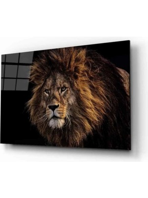 Aslan 20 Hayvan Cam Tablo